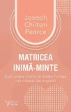 Cumpara ieftin Matricea inima-minte. Cum poate inima sa invete mintea noi moduri de a gandi/Joseph Chilton Pearce, For You