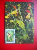 HOPCT MAXIMA ROMANIA NR 1285 PAPUCUL DOAMNEI / CYPRIPEDIUM CALCEOLUS- FLORI/ - -FLORA