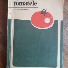 Tomatele - D. Andreescu / R8P4S