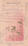 Carte postala pe fundal roz cu trei pasari si ramuri cu flori (circulata 1907)