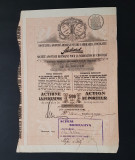 Actiune 1923 soc. pt. fabr. ciocolatei Suchard , titlu , actiuni