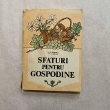 V. E. Drozdova - Sfaturi pentru gospodine