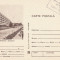 Romania 1980,Mangalia,Sanatoriul, Carte postala necirculata-timbrul fix anulat
