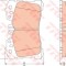 Set placute frana,frana disc LEXUS LS (UVF4, USF4) (2006 - 2016) TRW GDB3473
