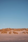 Tablou Canvas, "Dune de nisip sub clar de lună", Lună, Dune, Cer, Nisip, Orizont, Vegetație, Apus, Tranquilitate, 26 x 39 cm, CMCLASS