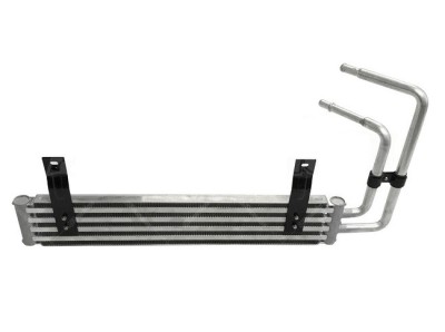 Radiator racire ulei motor, termoflot Jeep Cherokee, 01.1997-09.2001, motor 4.0 R6, 131/142/144 kw, benzina, cv automata, 253x70x23 mm, racitor trans foto