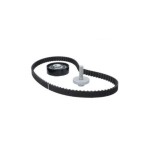 Kit distributie Dexwal 7490