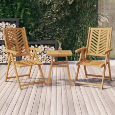 vidaXL Scaune de grădină rabatabile, 2 buc., lemn masiv de acacia 362231