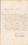 A1310 Cerere de dispensă pentru copil orb și surd, secolul al XIX-lea, Banat
