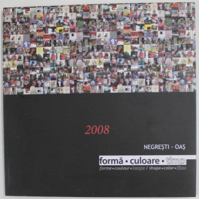 FORMA , CULOARE , TIMP , EXPOZITIE COLECTIVA , NEGRESTI , OAS , ROMANIA , 2008 , TEXT IN ROMANA , ENGLEZA , FRANCEZA foto