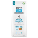 Cumpara ieftin Brit Care Dog Grain-Free Junior Large Breed, 12 kg