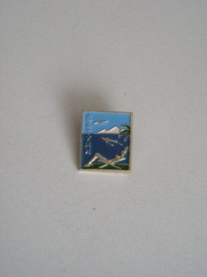 QW9 N4 21 - insigna - orase - Batumi foto