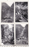 bnk foto Muntii Rodnei - anii `60