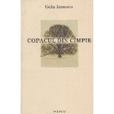 Copacul din cimpie