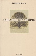 Copacul din cimpie foto