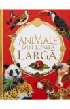 Enciclopedie ilustrata Animalele din lumea larga pentru copii, regnul animal, pasari mamifere, informatii habitat hrana