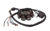 Stator aprindere ATV 200 cc, 5 fire Cod Produs: MX_NEW ISKATAV12004TJOY000