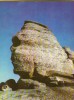 CPI B13908 CARTE POSTALA - MUNTII BUCEGI. SFINXUL, Circulata, Fotografie