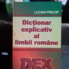 DICTIONAR EXPLICATIV AL LIMBII ROMANE - LUCIAN PRICOP