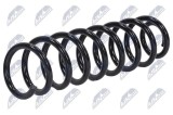 Arc suspensie Renault Grand Scenic 2004-2008; partea din spate; 8200297954; NTY, aftermarket