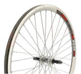 ROATA - 26x1.5-1.75 - SPATE - AL DUB - (MTB, 36H,14G) PowerTool TopQuality