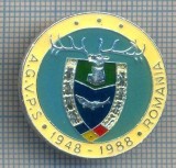 AX 145 INSIGNA VANATOARE SI PESCUIT SPORTIV PERIOADA RSR -A.G.V.P.S -1948-1988