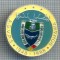 AX 145 INSIGNA VANATOARE SI PESCUIT SPORTIV PERIOADA RSR -A.G.V.P.S -1948-1988