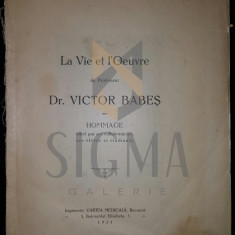 LA VIE ET L'OEUVRE DU PROFESSEUR DR. VICTOR BABES - HOMMAGE, 1924