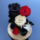 3 Trandafiri Criogenati negru, rosu, alb &Oslash;6,5cm 17x28cm
