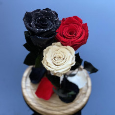3 Trandafiri Criogenati negru, rosu, alb Ø6,5cm 17x28cm