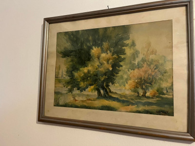 Kudelasz Karoly 1896-1973 Pastel Malul Crisului Oradea Pictor Clujean ! foto