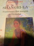 SHANGRI -LA - FRUMUSETEA FARA MARGINI A DIVINULUI - MARIUS GHIDEL, DHARANA 2017