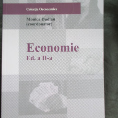 Economie-Monica Dudlan