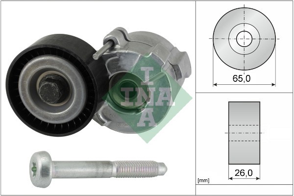 INA 534 0610 10 Intinzator curea, curea distributie