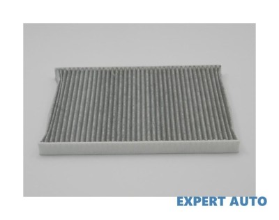 Filtru polen w Dodge Caravan 3 (2000-&amp;gt;) [RG_] #1 foto