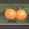 S.U.A.2011 Anul iepurelui-Fructe DF.362
