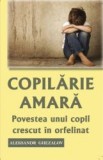 Copilărie amară. Povestea unui copil crescut in orfelinat Ghezalov, Aleksandr m1