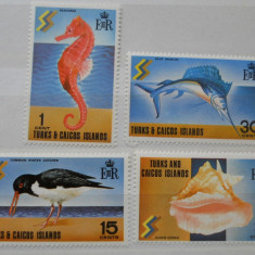 TURKS & CAICOS SERIE FAUNA MARINA MNH