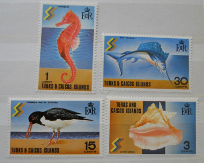 TURKS &amp;amp; CAICOS SERIE FAUNA MARINA MNH foto