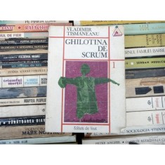 GHILOTINA DE SCRUM , VLADIMIR TISMANEANU foto