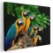 Tablou papagali Ara albastru galben pe creanga 1588 Tablou canvas pe panza CU RAMA 20x30 cm