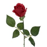 Trandafir artificial roșu cu tulpină lungă, 55 cm, CMCLASS