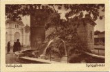 CP1344N Felixf&uuml;rdő, Gy&oacute;gyforr&aacute;s, carte poștală, Băile Felix