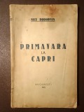 Nicu Borgovan - Primăvara la Capri (1940)