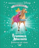Cumpara ieftin Frumoasa Adormita. Buttercup cel viteaz. Volumul 85. Disney. Biblioteca magica, editie de colectie