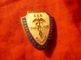 INSIGNA ASE- Bucuresti la XXX Ani 1949-1979 ,h=2,5cm ,metal si email