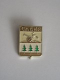 QW9 N4 41 - insigna - orase - Kodsnos - Rusia, Asia