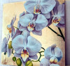 Pictori Romani Tablou abstract U/P Pictura orhidee mov, picturi flori 100x100cm, Ulei