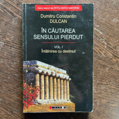 Dumitru Constantin Dulcan - In cautarea sensului pierdut (volumul1)