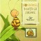 Bondarel Invata Sa Zboare, Britta Sabbag, Maite Kelly, Joelie Tourlonias - Editura Corint